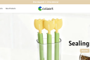 ¿Es Cvioert.com legítimo o una estafa de compras en línea?